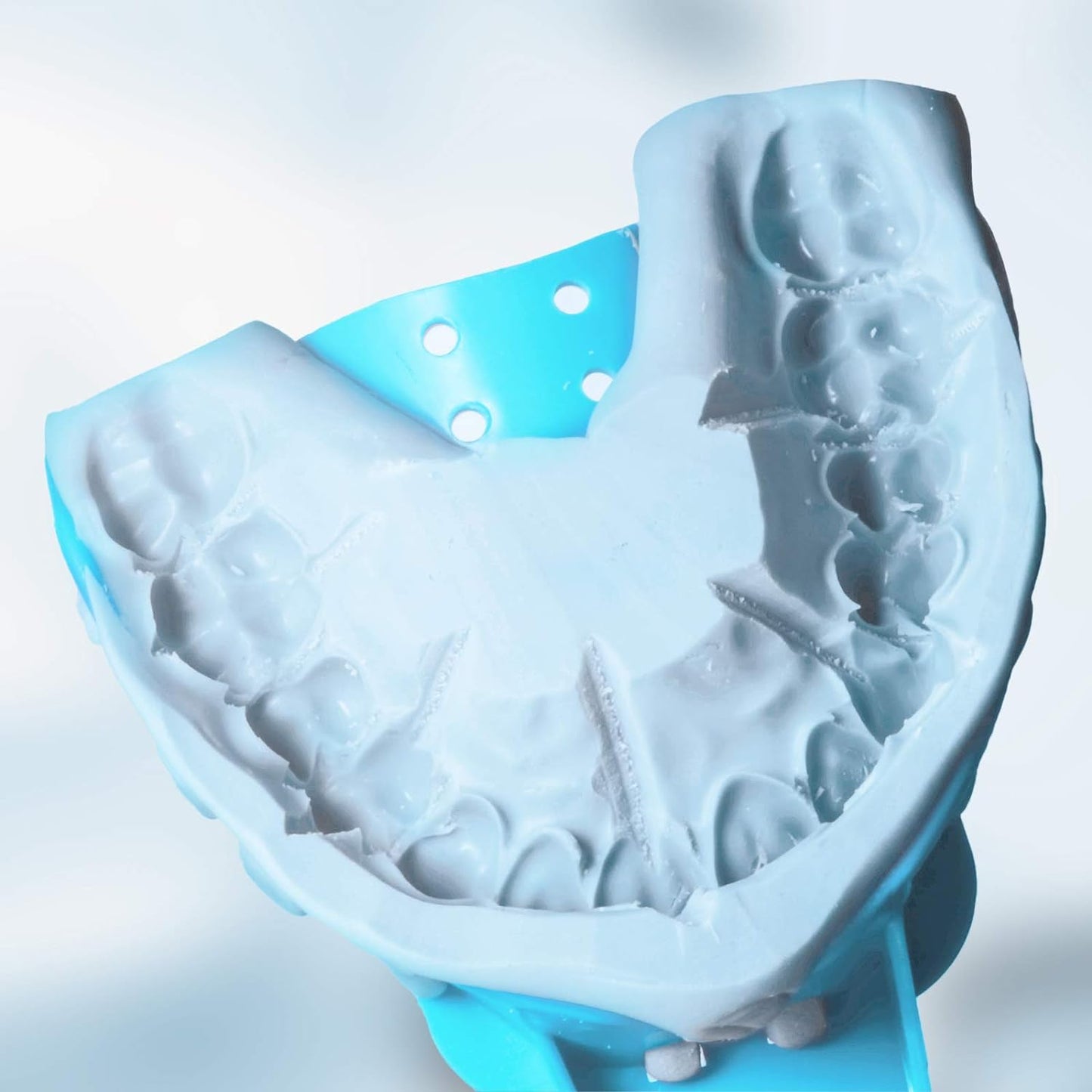 Dental Impression Tray Bag of 12, Perforated Disposable Trays